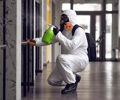 Why You Should Choose Our Mold Remediation Services in Madison, MN